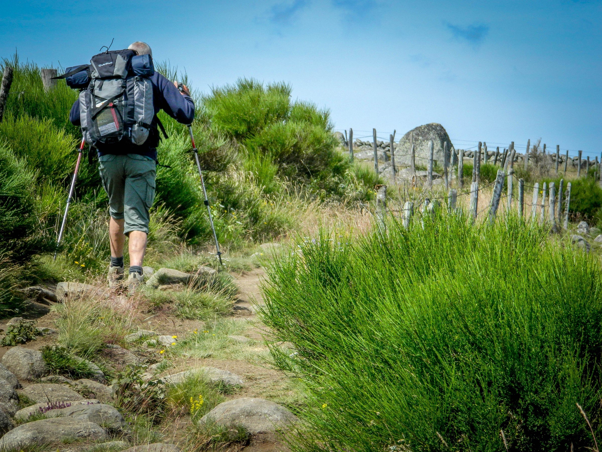 Chemins de Saint-Jacques-de-Compostelle