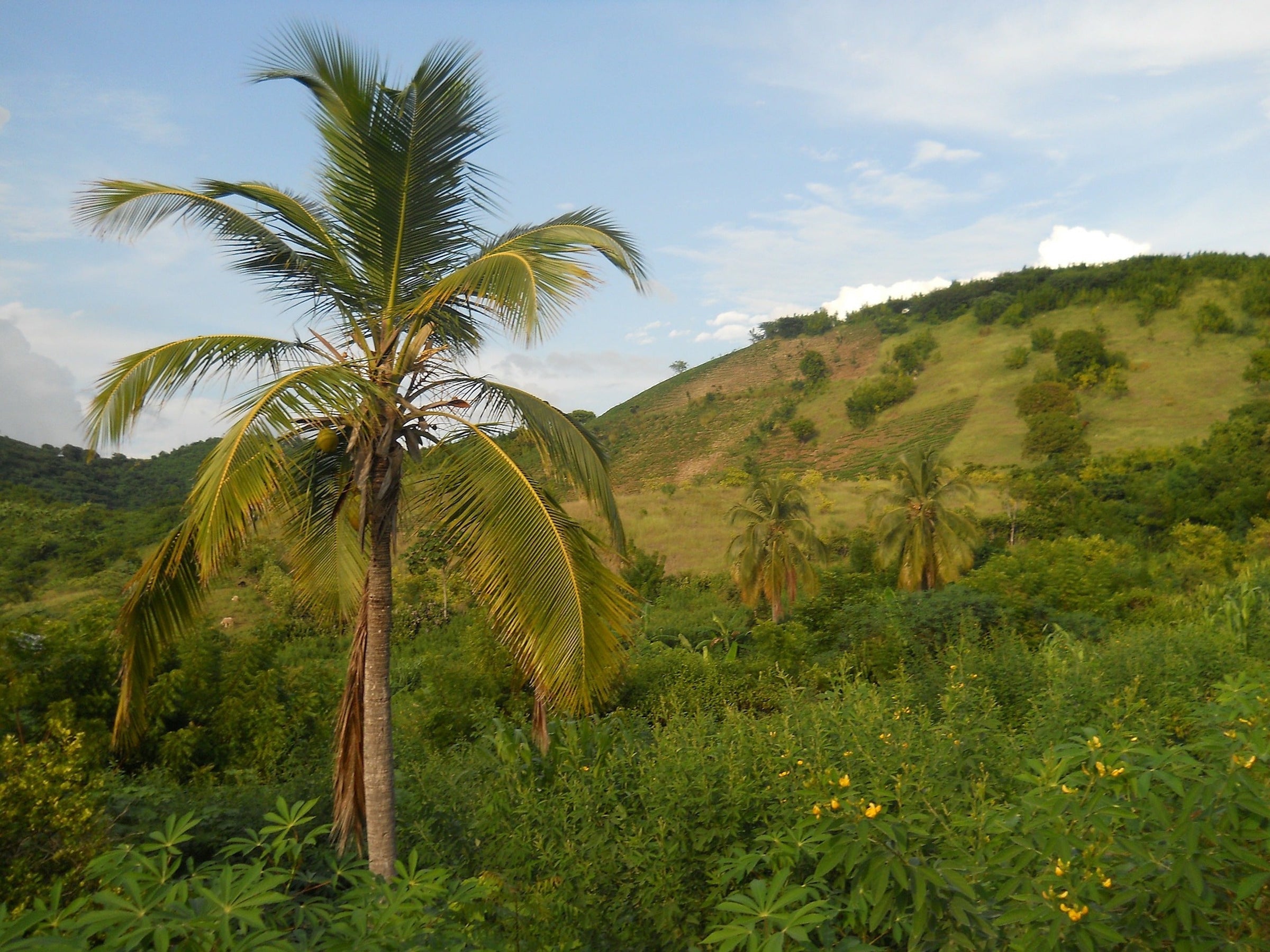 Haiti