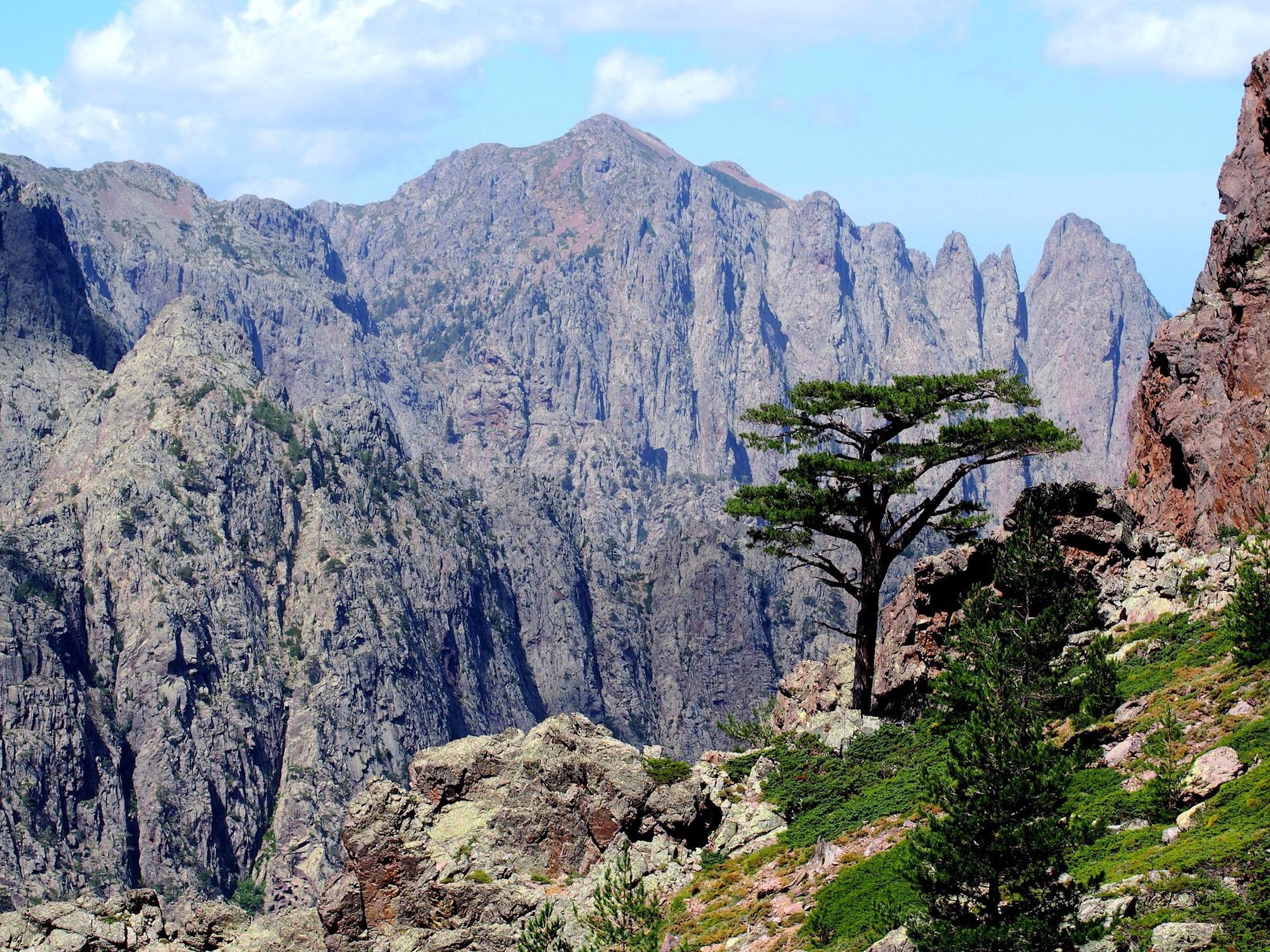 Haute-Corse (département 2B )