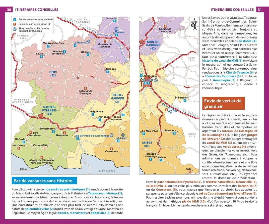 Guide du Routard - Midi Toulousain, Pyrénées, Gascogne 2024/25 | Hachette guide de voyage Hachette 