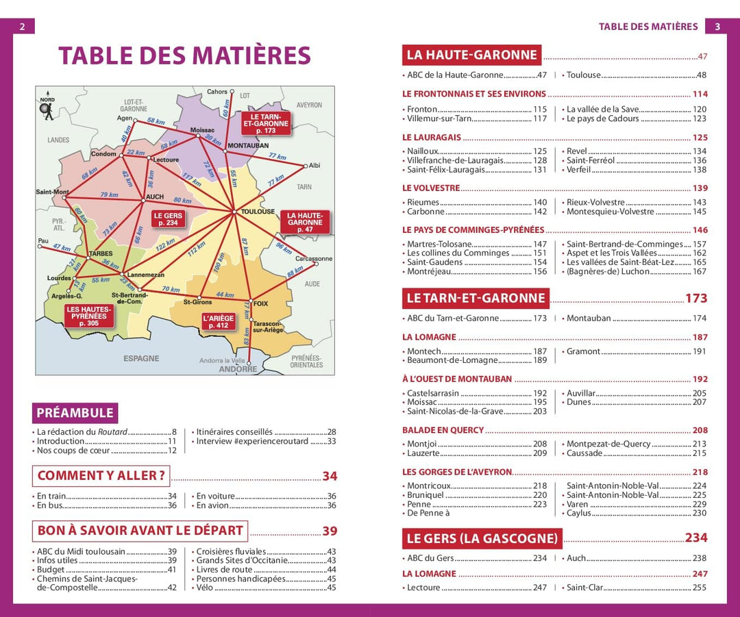 Guide du Routard - Midi Toulousain, Pyrénées, Gascogne 2024/25 | Hachette guide de voyage Hachette 