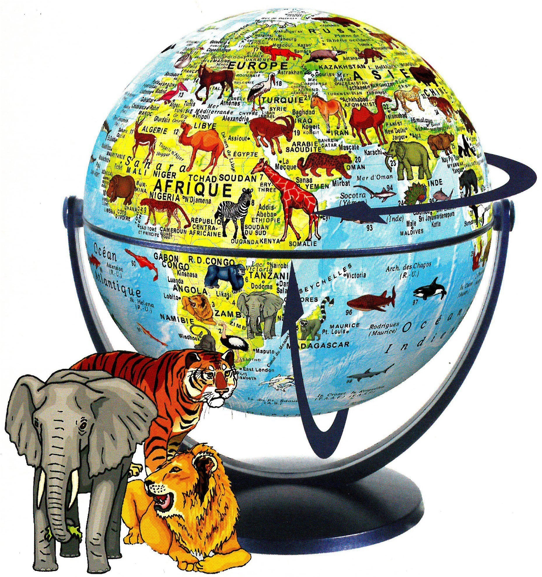 Globe pour enfants, tournant & basculant - Animaux du monde (15
