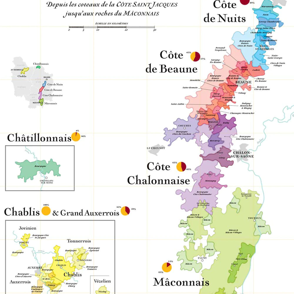 Affiche - Carte des vins de Bourgogne - 50 x 70 cm carte murale petit tube La carte des vins 