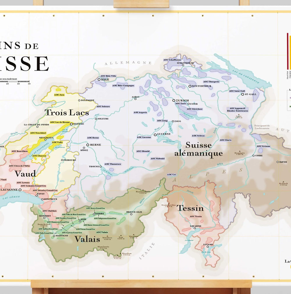 Affiche - Carte des vins de la Suisse - 50 x 70 cm carte murale petit tube La carte des vins 