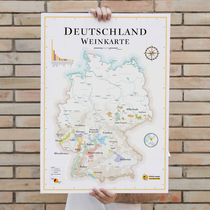 Affiche - Carte des vins de l'Allemagne - 50 x 70 cm carte murale petit tube La carte des vins 
