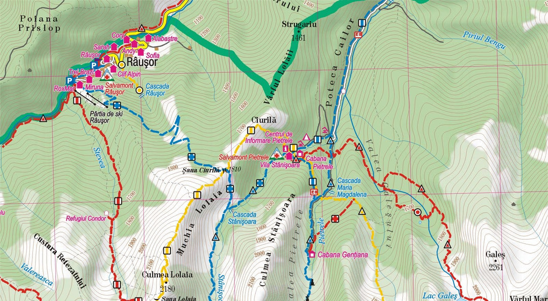 Carte de randonnée plastifiée - Montagnes Retezat (Carpates) | TerraQuest carte pliée Terra Quest 