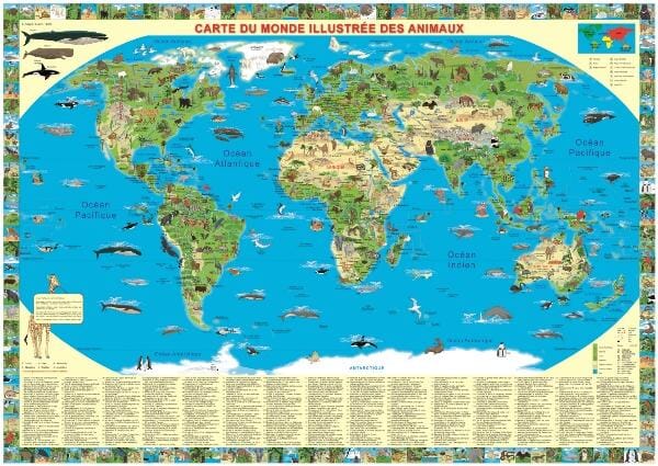 Carte murale illustrée pour enfants - Le Monde des animaux (plastifiée) | Krüger & Schönhoff carte murale petit tube Krüger & Schönhoff Français 