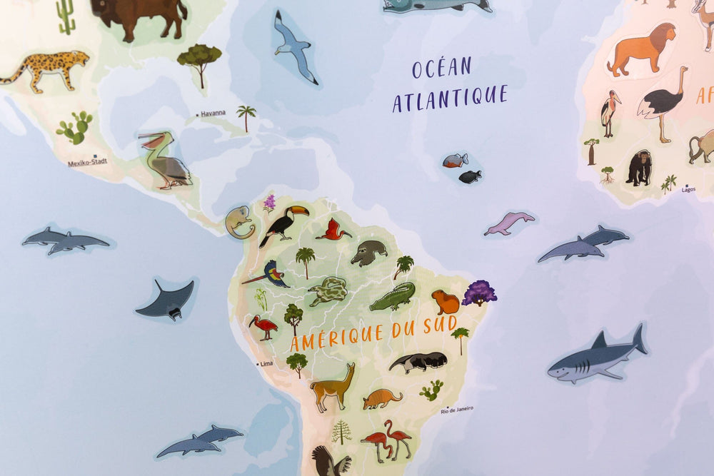 Carte murale plastifiée pour enfants - Monde des animaux (84 x 60 cm), avec 140 autocollants | GeoMetro carte murale petit tube taux réduit GeoMetro 