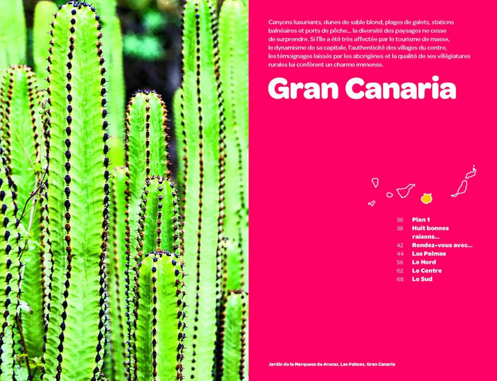 Géoguide (coups de coeur) - Canaries - Édition 2024 | Gallimard guide de voyage Gallimard 