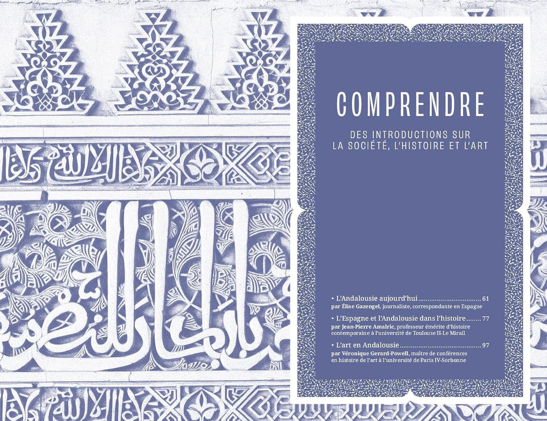 Guide bleu - Andalousie - Edition 2025 | Hachette guide de voyage Hachette 