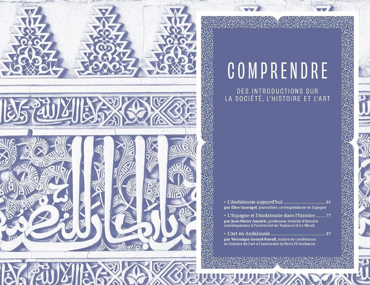 Guide bleu - Andalousie - Edition 2025 | Hachette guide de voyage Hachette 