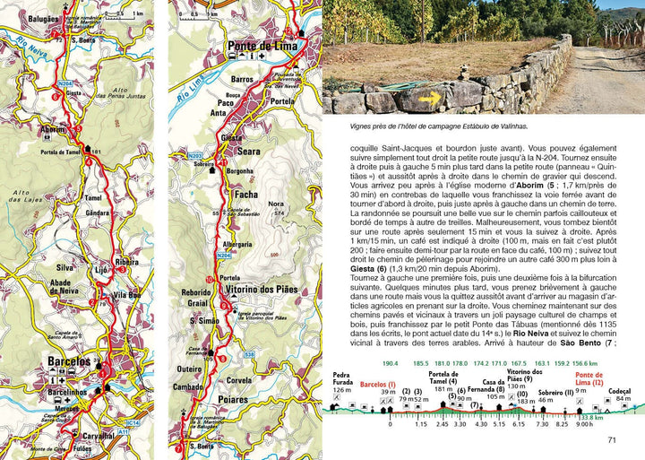 Guide de randonnée - Chemin portugais : Le Chemin de St-Jacques de Porto à St-Jacques-de-Compostelle | Rother guide de randonnée Rother 