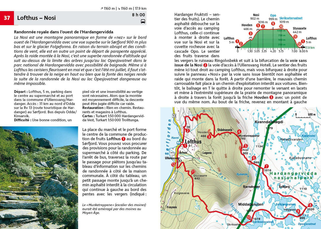 Guide de randonnée - Norvège Sud | Rother guide de randonnée Rother 