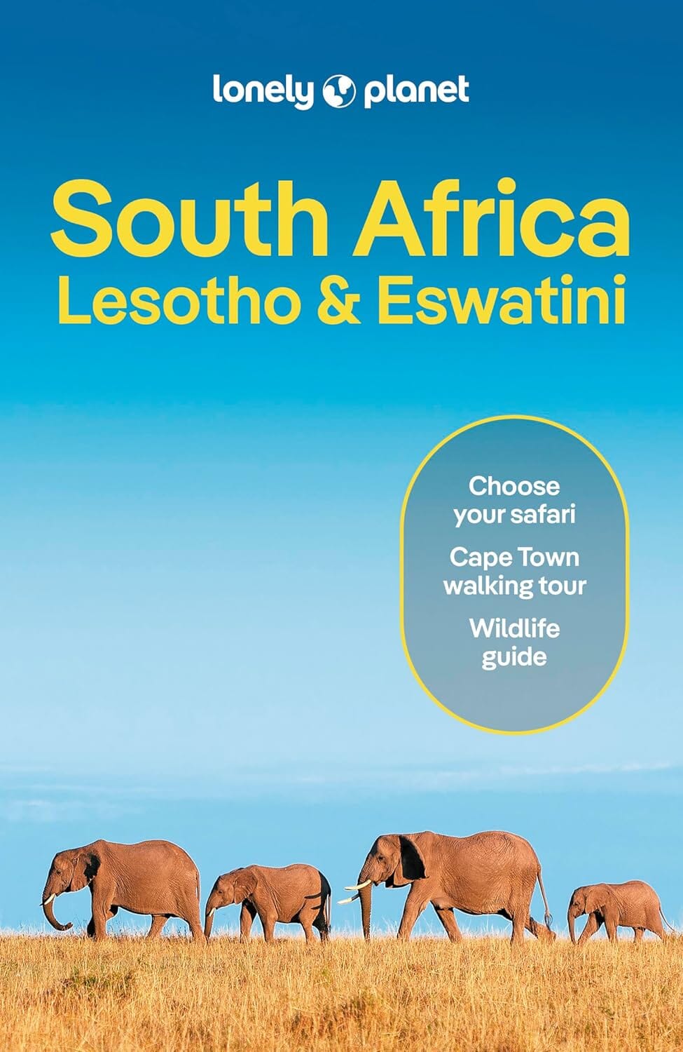 Guide de voyage (en anglais) - South Africa / Lesotho / Eswatini | Lonely Planet guide de voyage Lonely Planet EN 