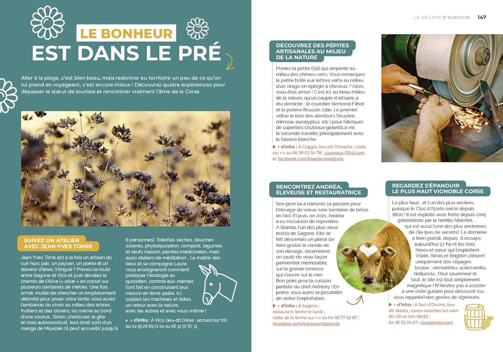 Guide de voyage Petaouchnok - Corse - Édition 2025 | Hachette guide de voyage Hachette 