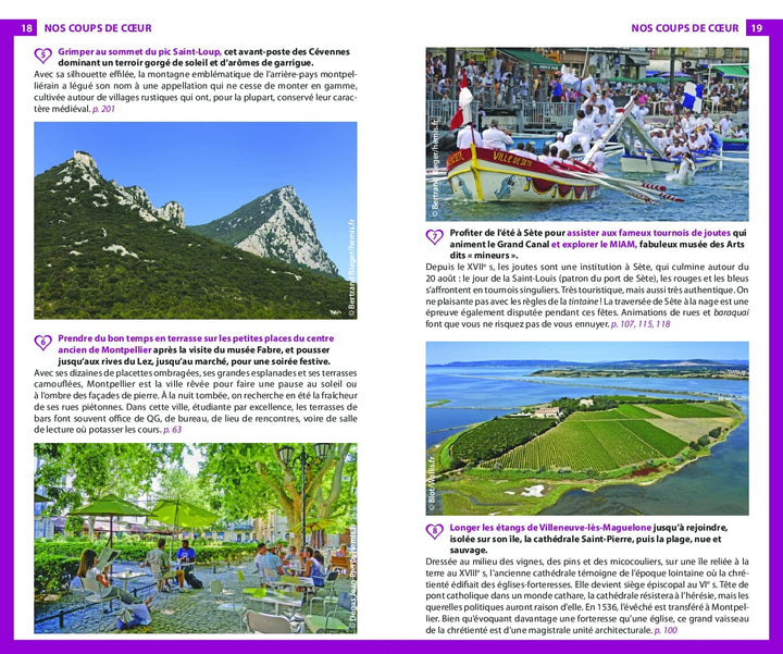 Guide du Routard - Languedoc, Cévennes 2023/24 | Hachette guide de voyage Hachette 
