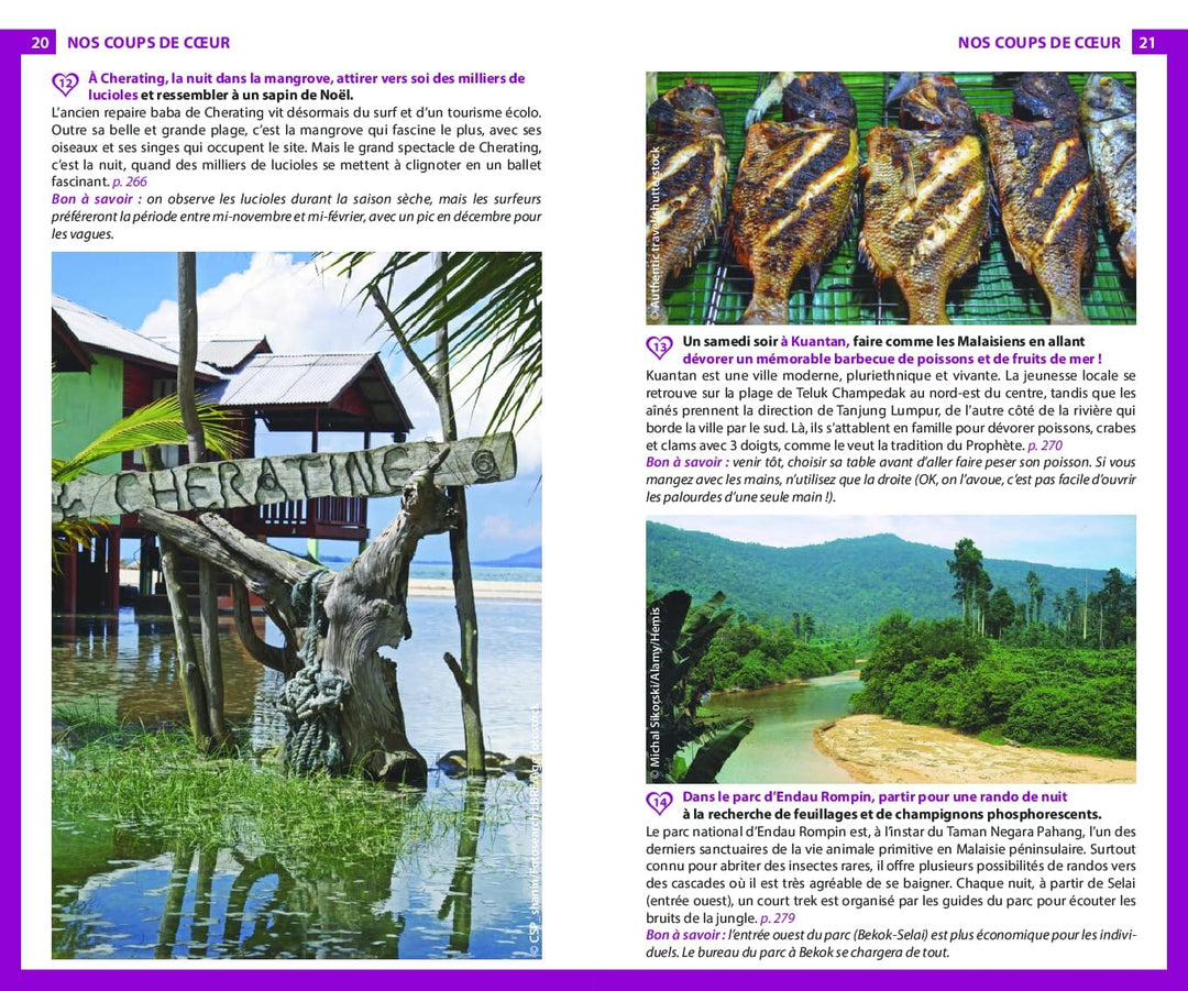 Guide du Routard - Malaisie & Singapour 2024/25 | Hachette guide de voyage Hachette 