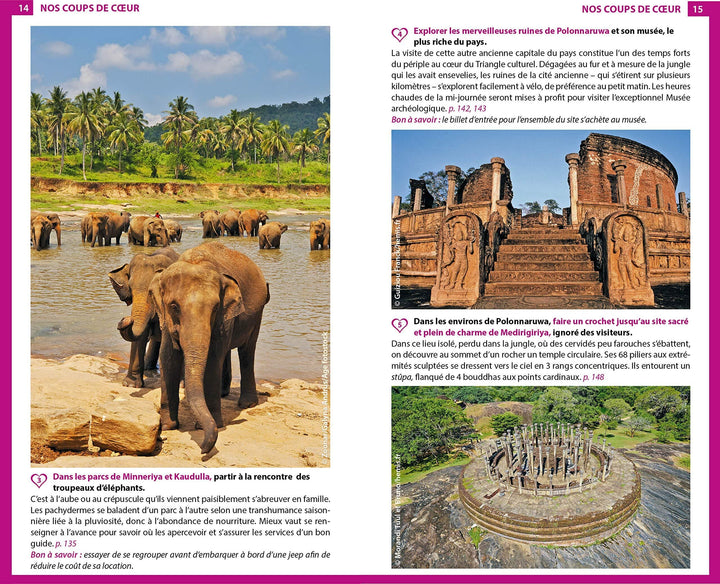 Guide du Routard - Sri Lanka 2020 | Hachette guide de voyage Hachette 