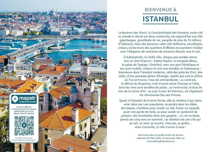 Plan détaillé - Istanbul | Cartoville guide de voyage Gallimard 