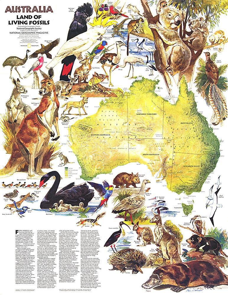 1979 Australia, Land of Living Fossils Map Wall Map 