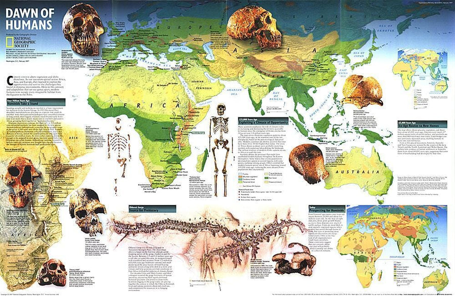 1997 Dawn of Humans Map Wall Map 