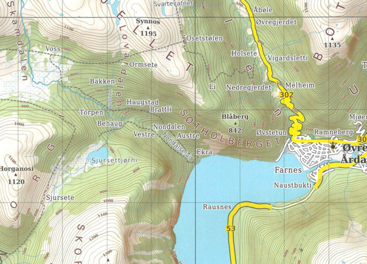 Carte de randonnée - Jotunheimen ouest (Norvège), n° 110 | PhoneMaps carte pliée PhoneMaps 