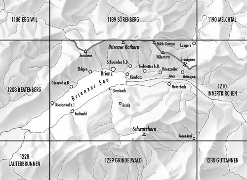 Carte de randonnée n° 1209 - Brienz (Suisse) | Swisstopo - 1/25 000 carte pliée Swisstopo 
