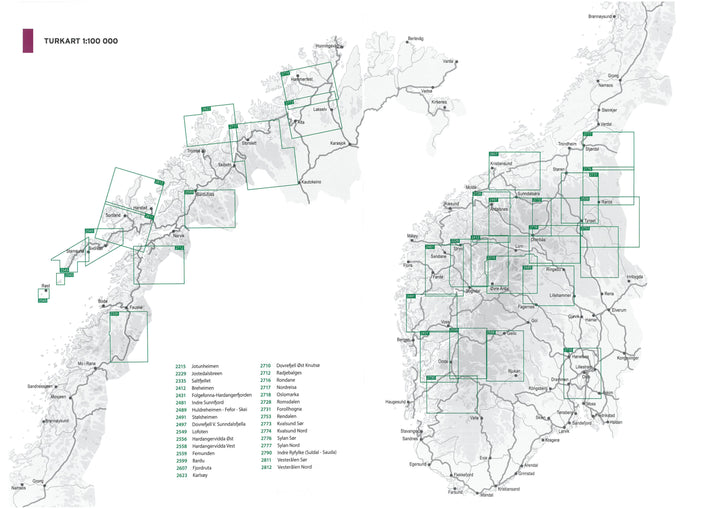 Carte de randonnée n° 2551 - Mjosa-Randsfjorden (Norvège) | Nordeca - Turkart 1/100 000 carte pliée Nordeca 