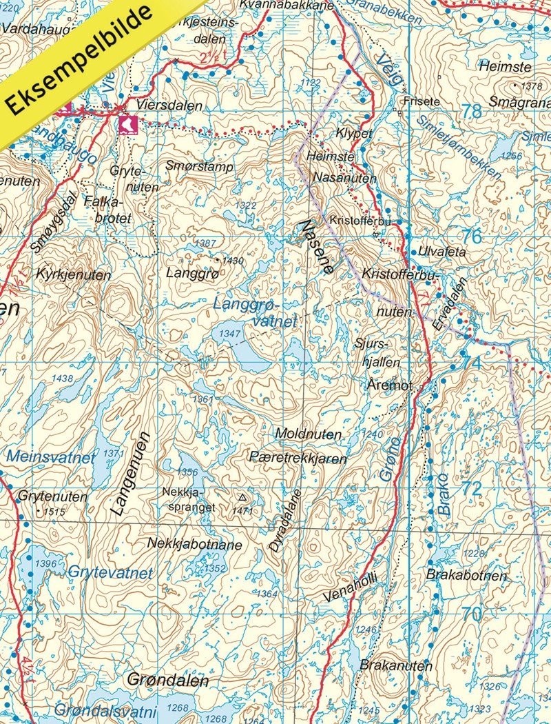 Carte de randonnée n° 2558 - Hardangervidda Ouest (Norvège) | Nordeca - Turkart 1/100 000 carte pliée Nordeca 
