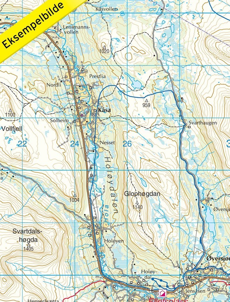 Carte de randonnée n° 2559 - Femunden (Sud) (Norvège) | Nordeca - Turkart 1/100 000 carte pliée Nordeca 