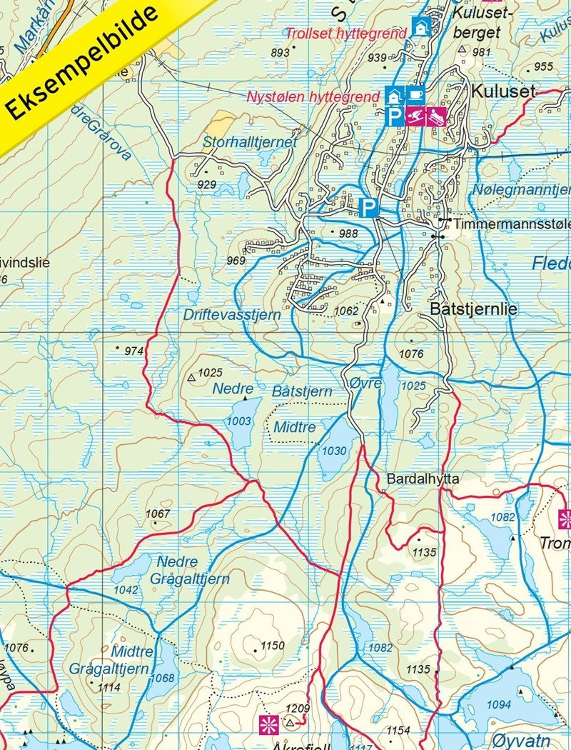 Carte de randonnée n° 2573 - Nesbyen (Norvège) | Nordeca - Turkart 1/50 000 carte pliée Nordeca 