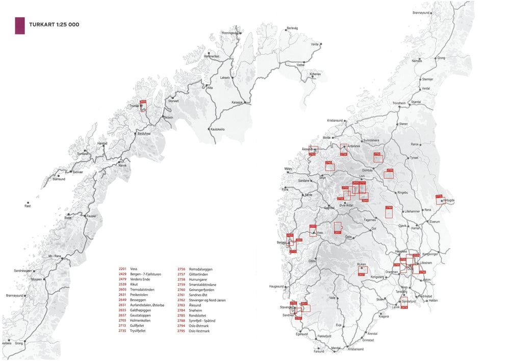 Carte de randonnée n° 2655 - Galdhopiggen (Norvège) | Nordeca - Turkart 1/25 000 carte pliée Nordeca 