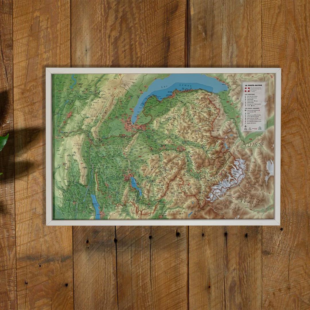 Carte murale en relief - Haute-Savoie - 61 cm x 41 cm  3D Map – La  Compagnie des Cartes - Le voyage et la randonnée