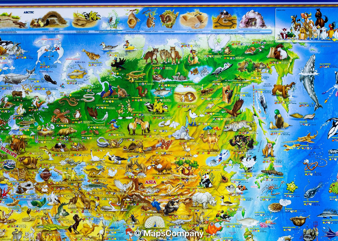 Carte murale pour enfants - Les animaux du monde (plastifiée, en anglais) | Dino - La Compagnie des Cartes