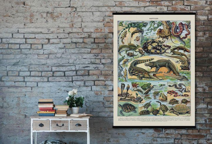 Carte murale - Reptiles (style vintage) | Blue Shaker carte murale grand tube Blue Shaker 