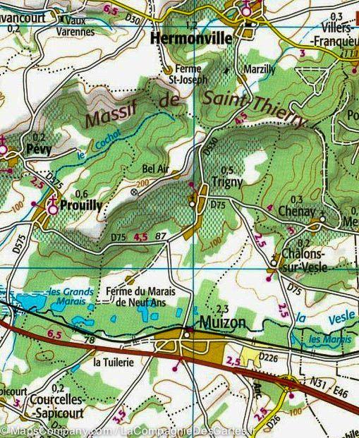 Carte TOP 100 n° 110 - Reims, St-Dizier, PNR de la Montagne de Reims | IGN carte pliée IGN 