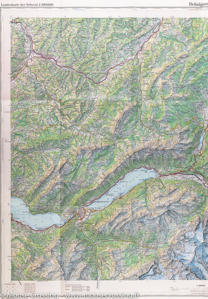 Carte de la région du col de Brünig (région de Meiringen, Suisse) | Swisstopo - La Compagnie des Cartes