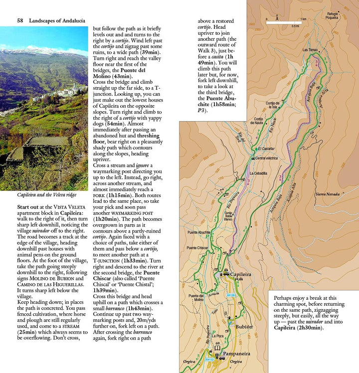 Guide de randonnées (en anglais) - Andalucia : Costa del Sol & Sierras | Sunflower guide petit format Sunflower 