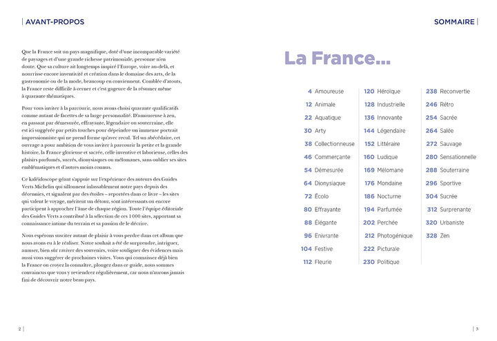 Guide de voyage - 40 façons de visiter la France autrement - Édition 2021 | Michelin guide de voyage Michelin 