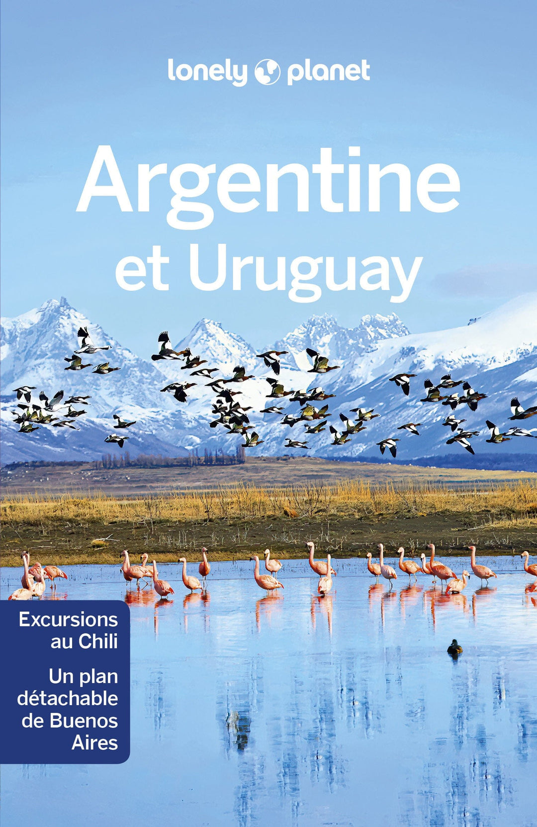 Guide de voyage - Argentine & Uruguay | Lonely Planet guide de voyage Lonely Planet 