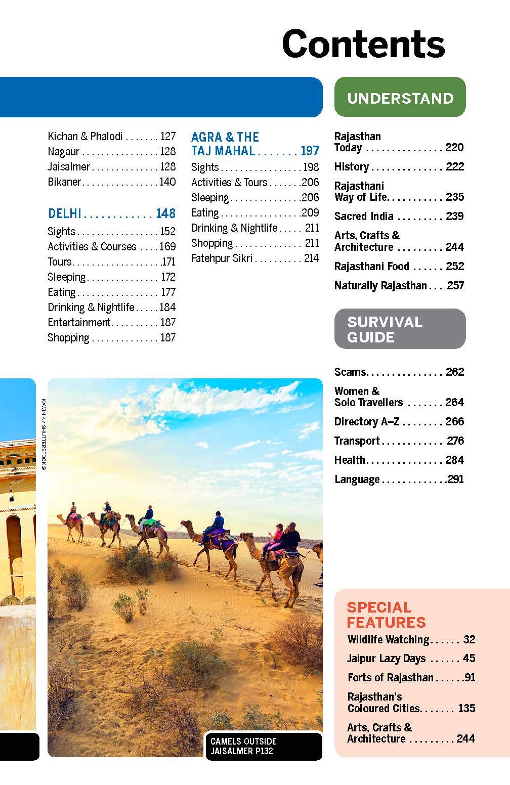 Guide de voyage (en anglais) - Rajasthan - Delhi & Agra | Lonely Planet guide de voyage Lonely Planet 