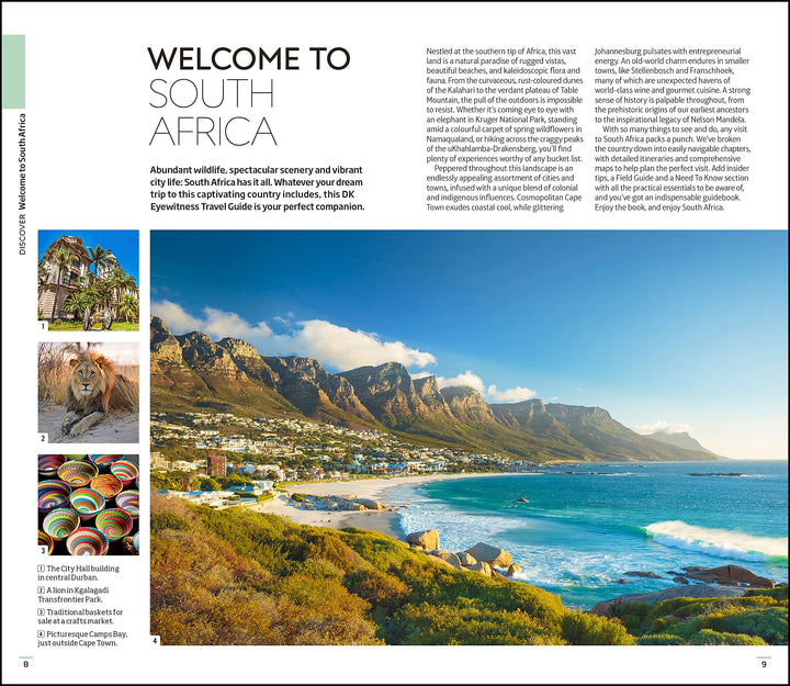 Guide de voyage (en anglais) - South Africa | Eyewitness guide de voyage Eyewitness 