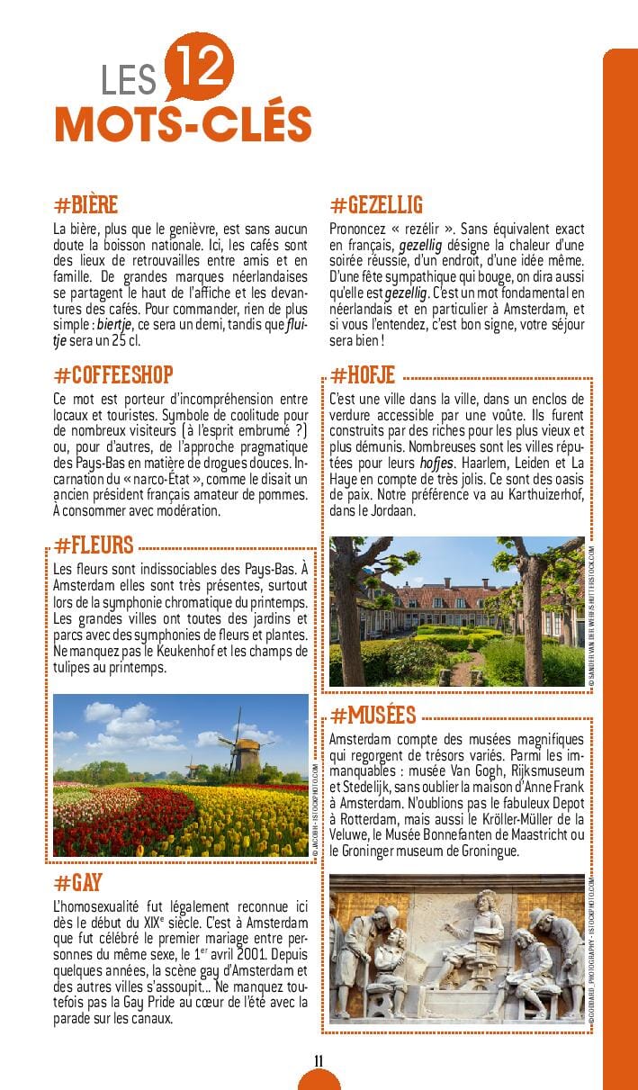 Guide de voyage - Pays-Bas 2023/24 | Petit Futé guide de voyage Petit Futé 