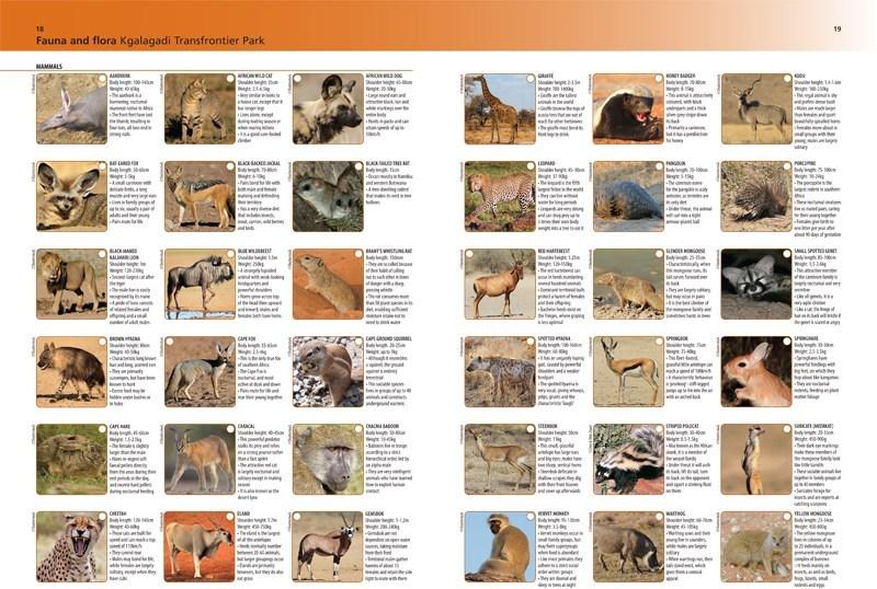 Guide du Kgalagadi Transfontier Park (Afrique du Sud, Botswana) - en anglais | MapStudio guide de voyage MapStudio 