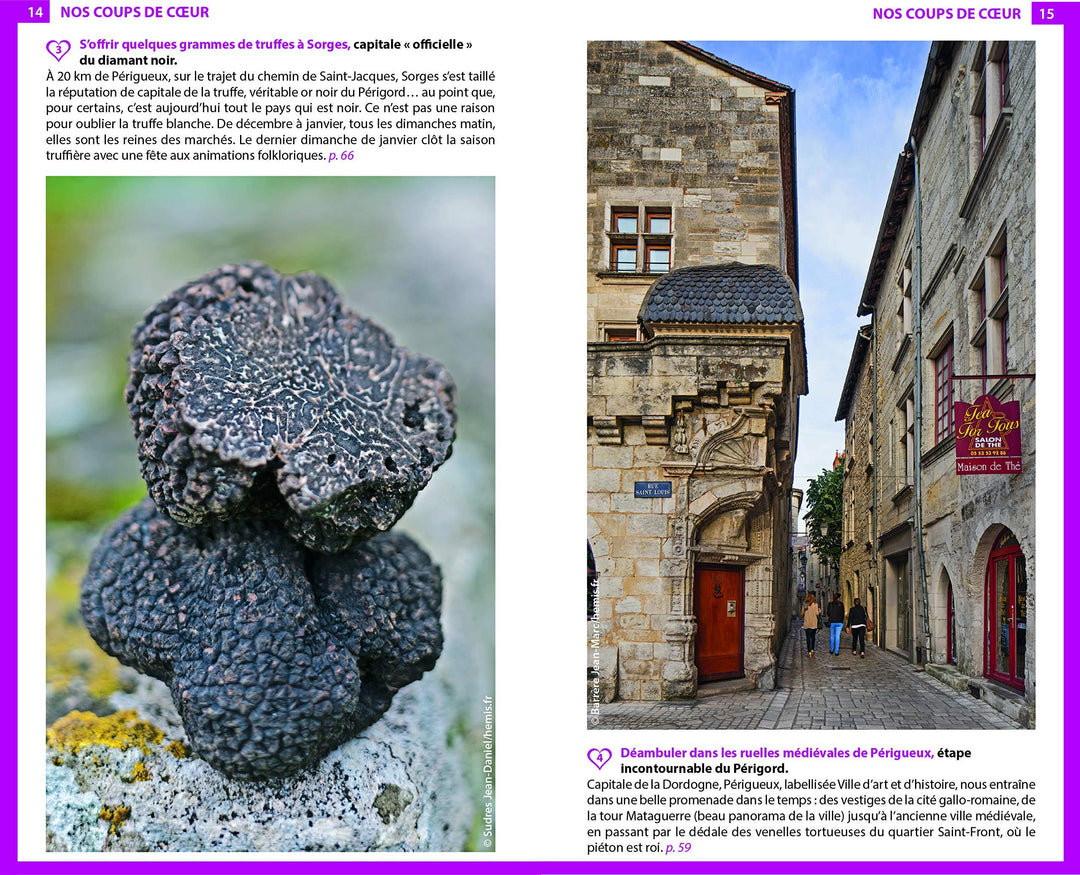 Guide du Routard - Dordogne, Périgord 2021/22 | Hachette guide de voyage Hachette 