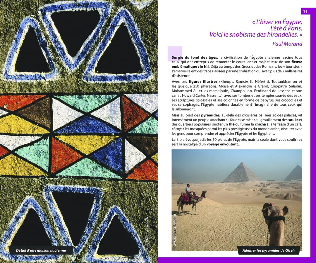 Guide du Routard - Egypte 2024/25 | Hachette guide de voyage Hachette 