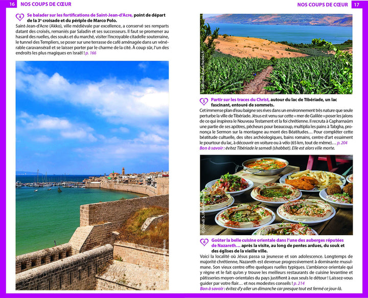 Guide du Routard - Israël & Palestine 2020/21 | Hachette guide de voyage Hachette 