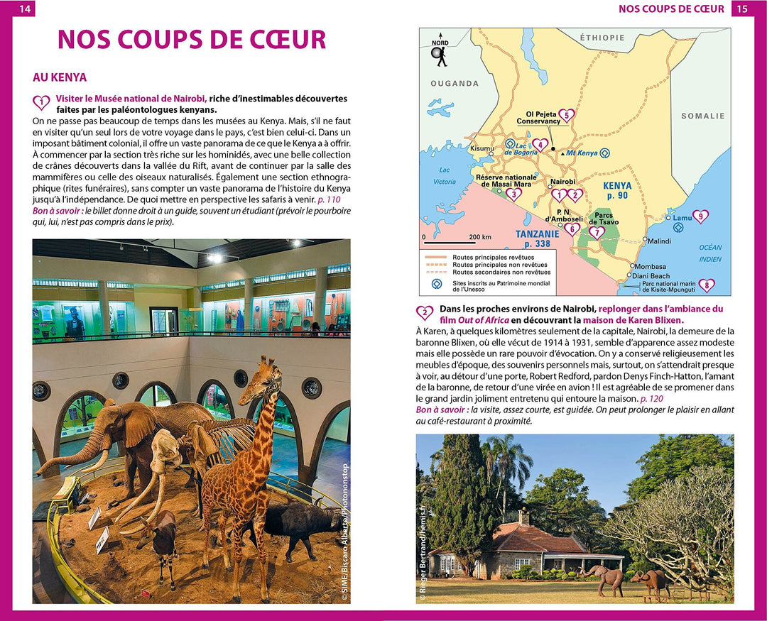 Guide du Routard - Kenya, Tanzanie 2020/21 | Hachette guide de voyage Hachette 