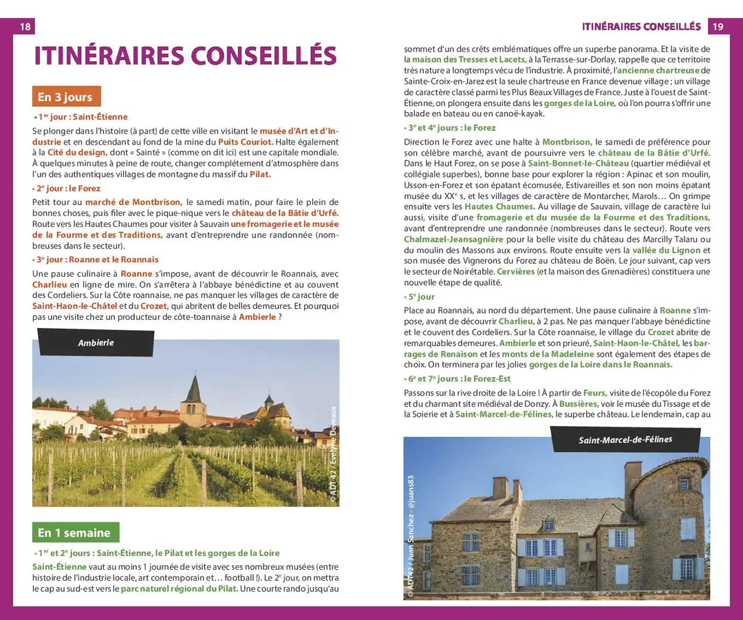 Guide du Routard - Loire | Hachette guide de voyage Hachette 