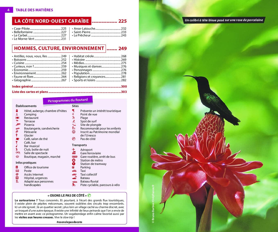 Guide du Routard - Martinique 2023/24 | Hachette guide de voyage Hachette 